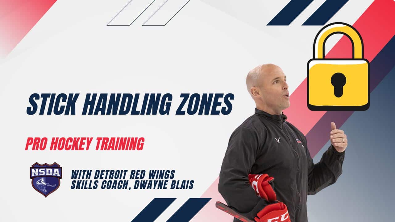 Stick Handling Zones